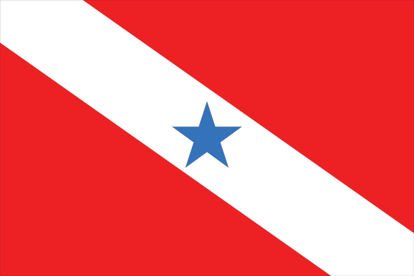 Pará (PA) Bandeira