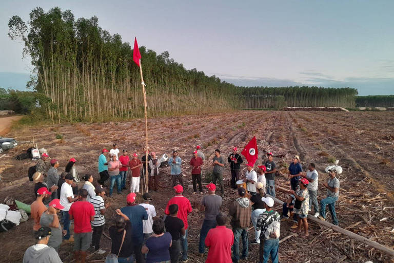 Justiça da Bahia determina reintegração de posse da fazenda da Suzano invadida pelo MST