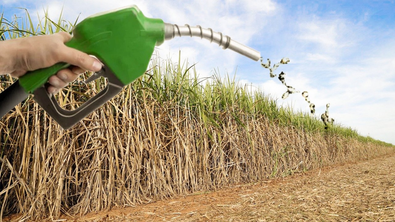 Aprovado texto-base de MP que autoriza postos a comprar etanol diretamente de produtores