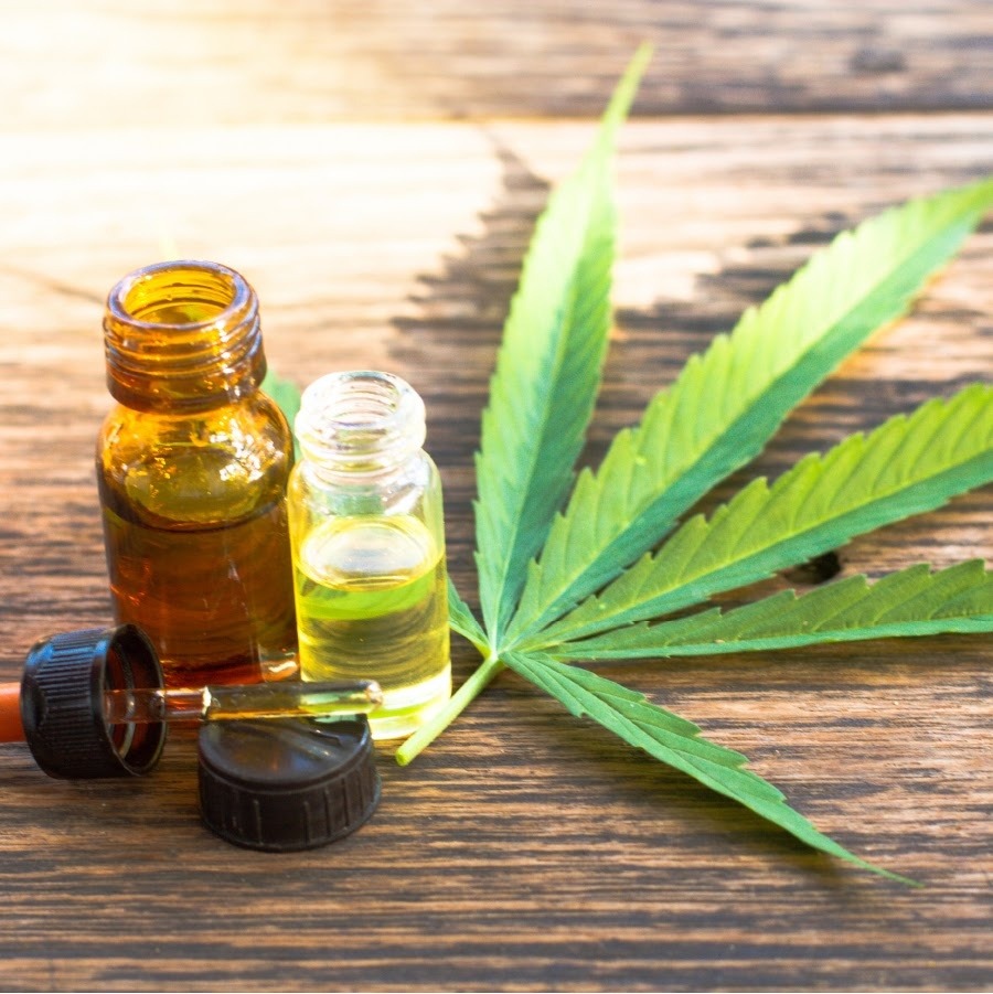 CCJ da Assembleia aprova projeto que assegura direito ao tratamento de saúde com Cannabis no RN.