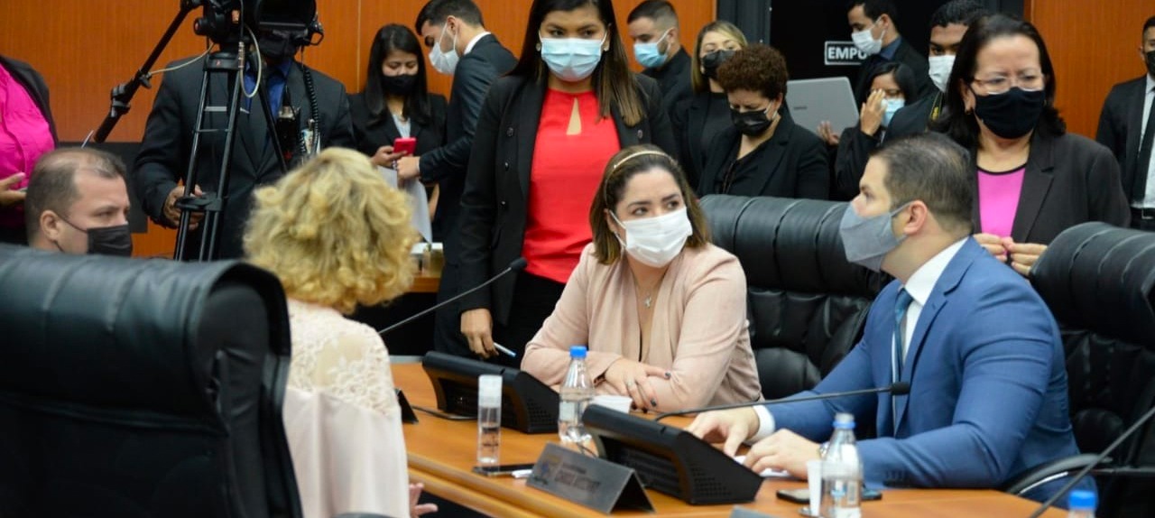 Comissão delibera sobre projetos que combatem maus-tratos e outras violações a animais em Roraima.