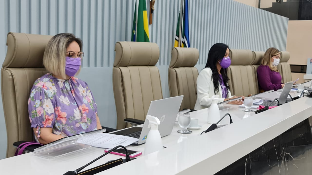 Deputadas debatem ações para o enfrentamento à violência doméstica no Amapá