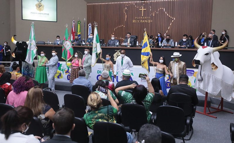 Projetos de Lei apresentados na Aleam incentivam a cultura e a ciência no Amazonas