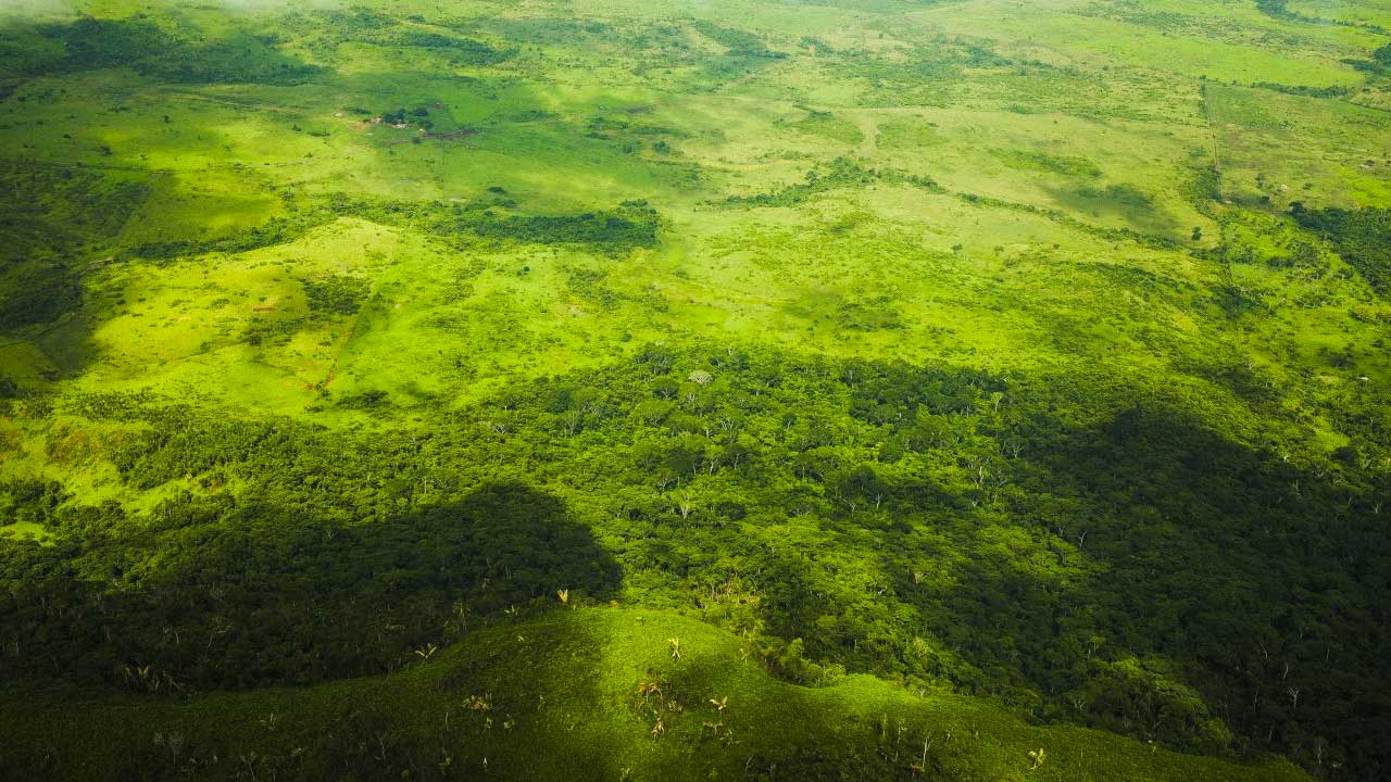 COP 30: DIÁLOGOS AMAZÔNICOS, O BRASIL E O PARÁ EM EVIDÊNCIA
