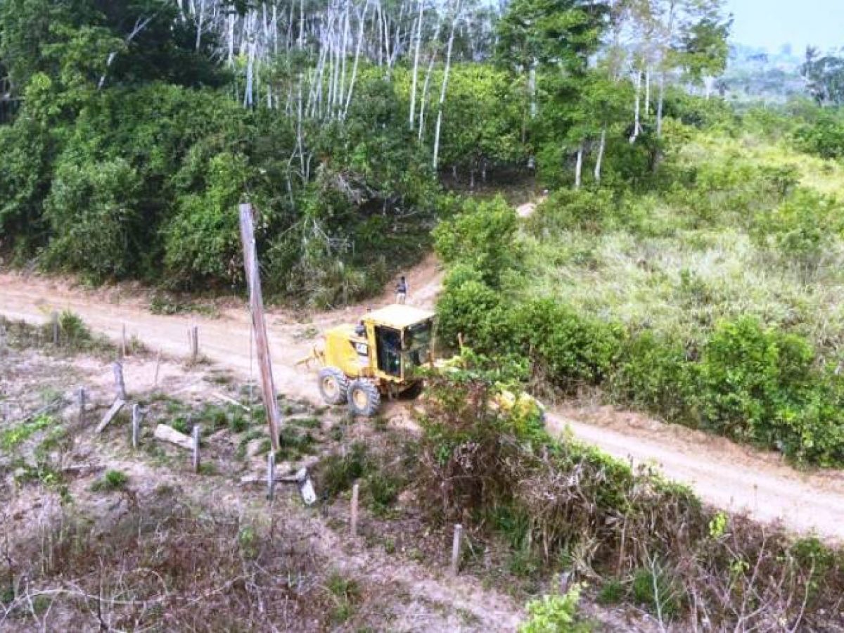 Pará: MPF processa acusados por abertura de estrada em territórios indígenas