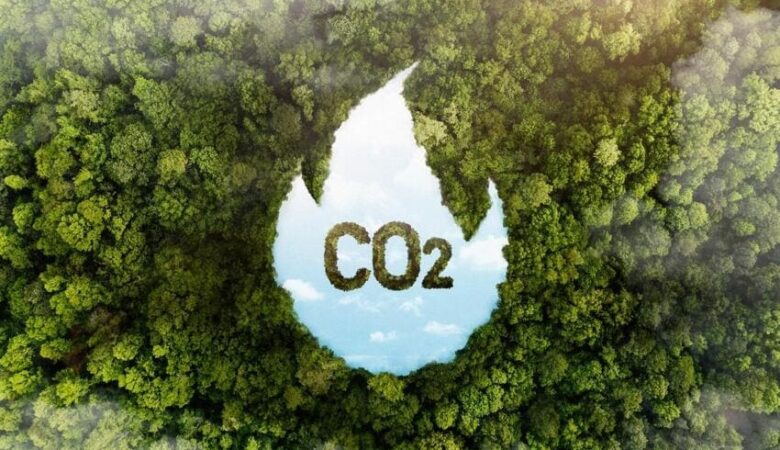 Mercado voluntário de carbono no Brasil é objeto de debate na Comissão de Meio Ambiente