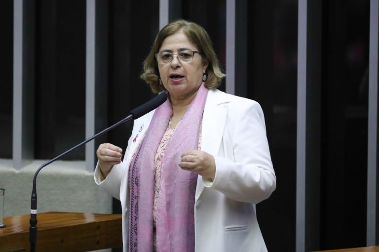 Em audiência na Câmara, ministra das Mulheres fala sobre programas do Ministério