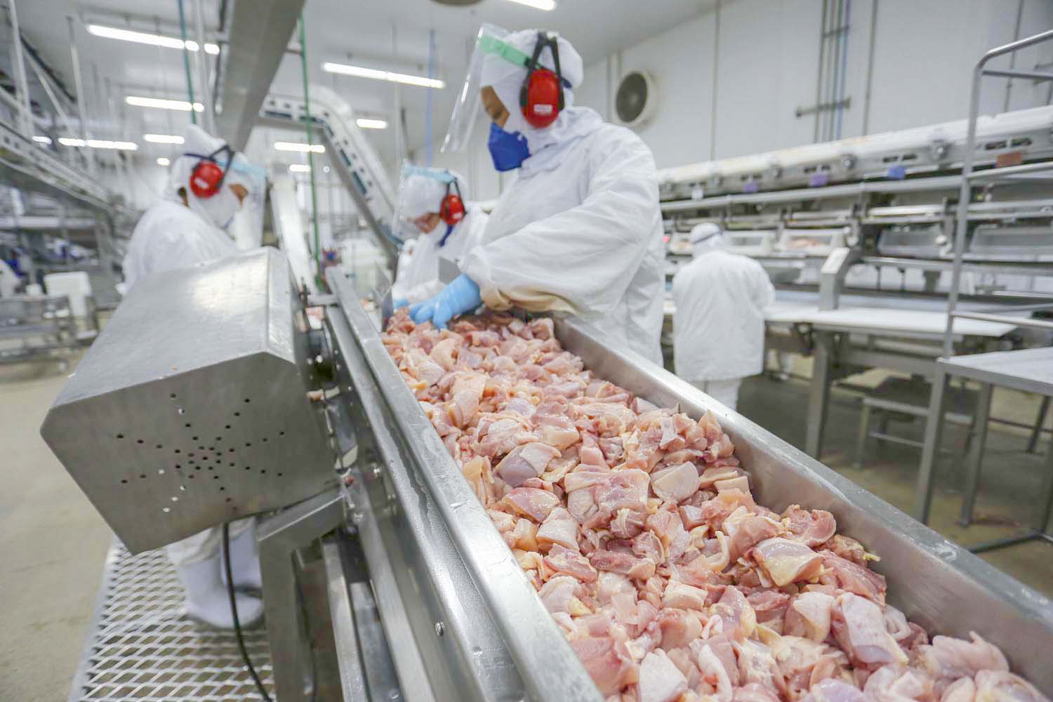 Projeto de Lei fixa jornada de trabalho na indústria de processamento de carnes em 40 horas semanais