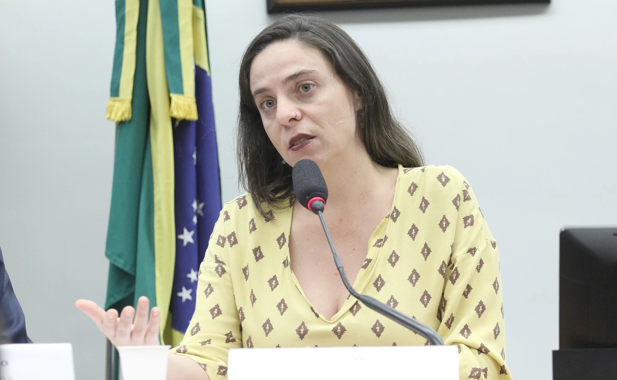 Fernanda Melchionna propõe auxílio emergencial à classe artística do RS