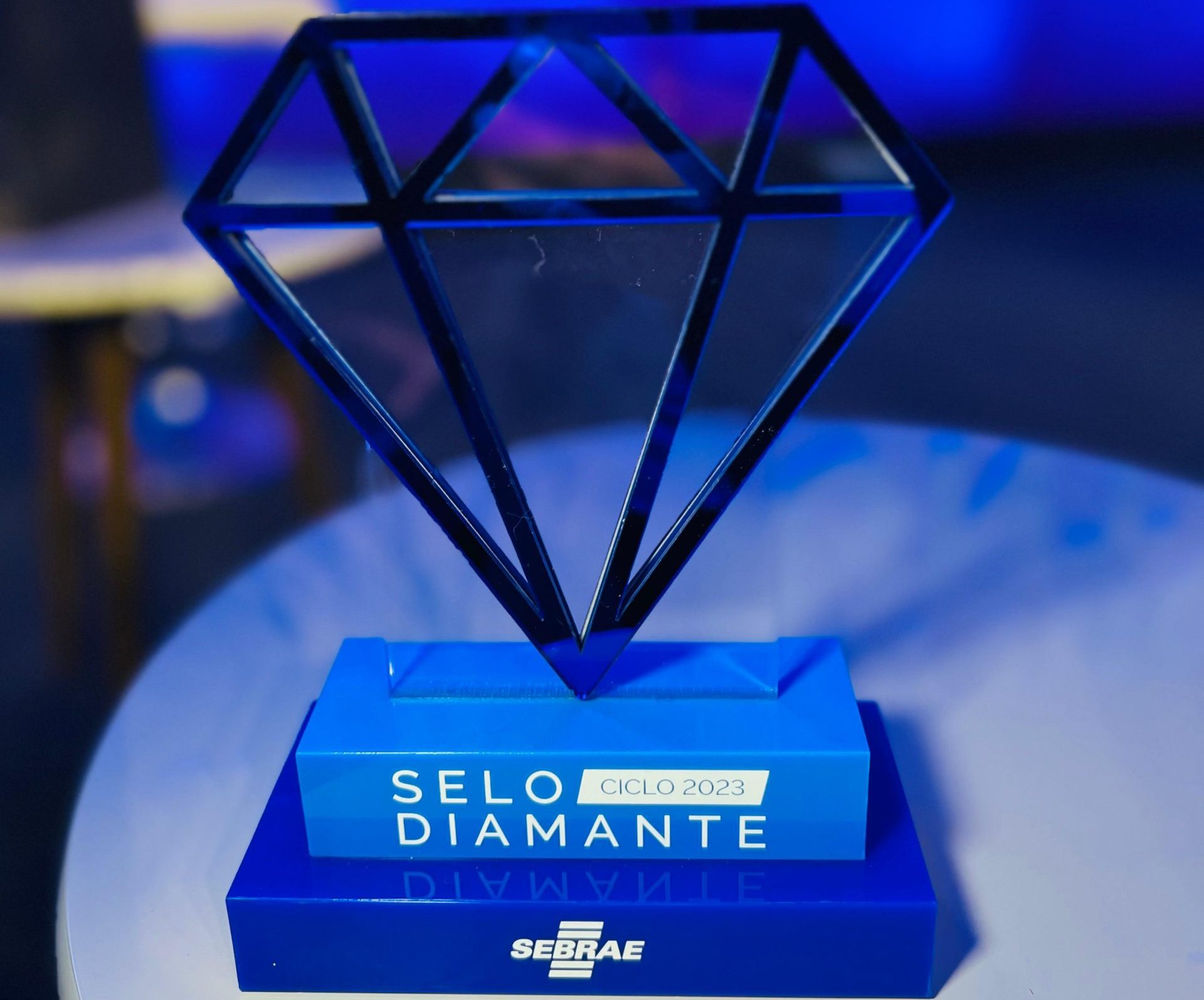 Deputada maranhense comemora Selo Diamante recebido pela Sala do Empreendedor