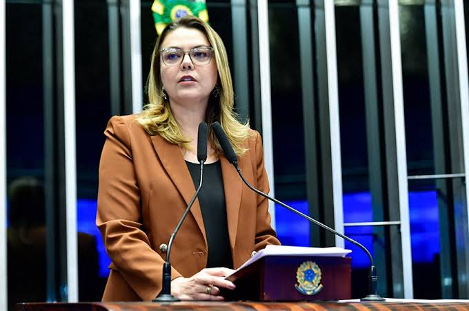 Presidente da CMA, Leila Barros propõe endurecimento de penas nos incêndios florestais