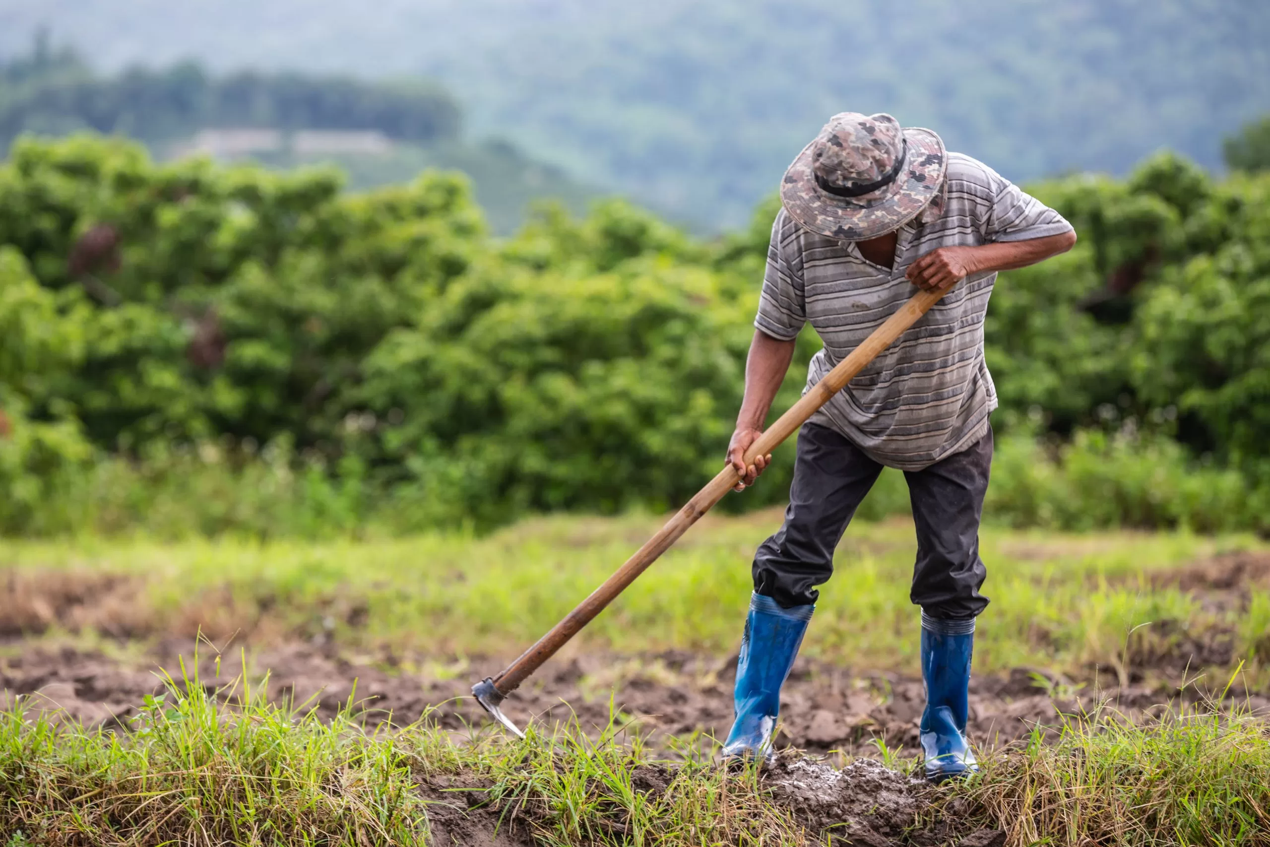 Comissão aprova projeto que estabelece distância mínima entre moradia de trabalhador rural e depósito de defensivos agrícolas